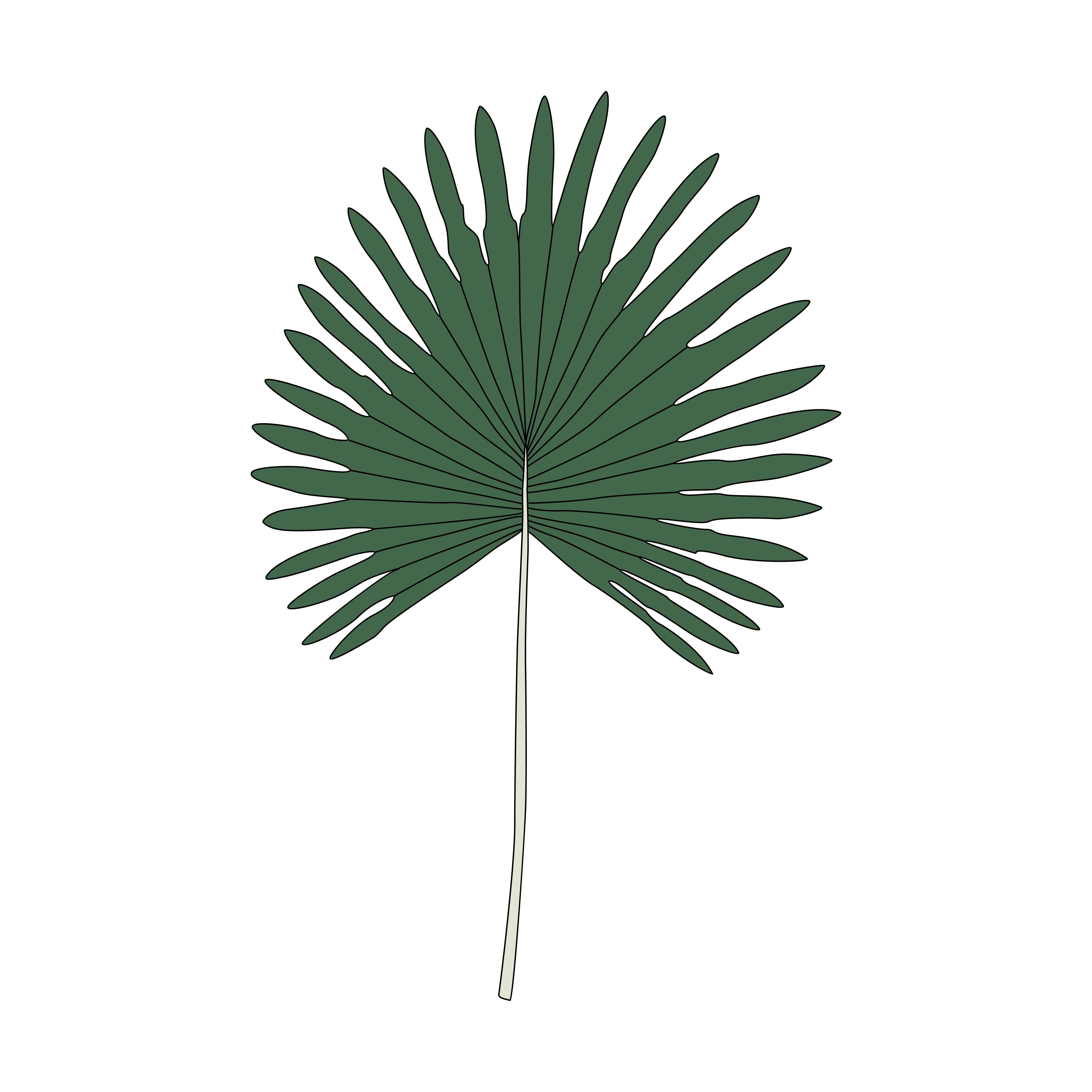 Download Illustration of fan palm leaf - Download Free Vectors ...