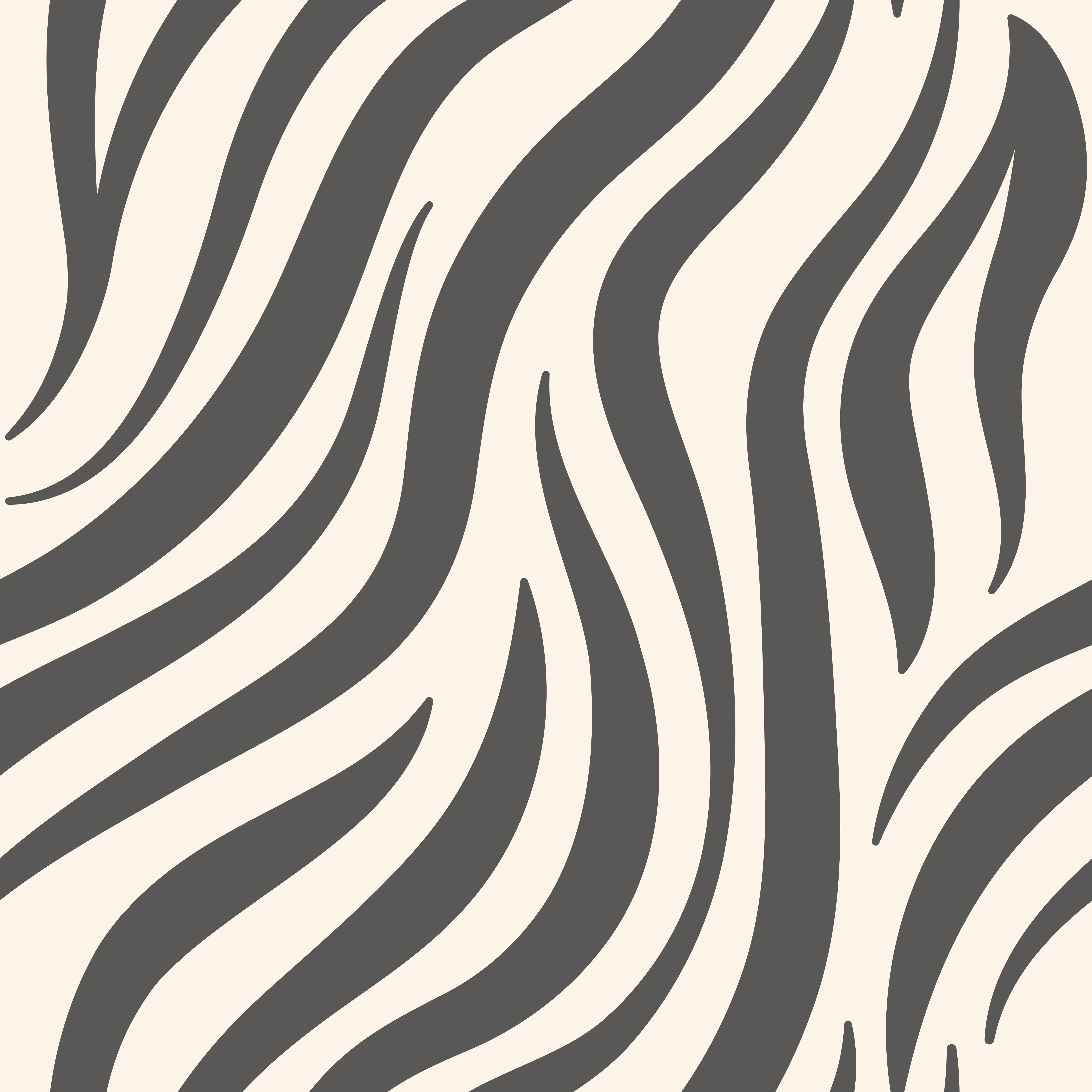 zebra pattern