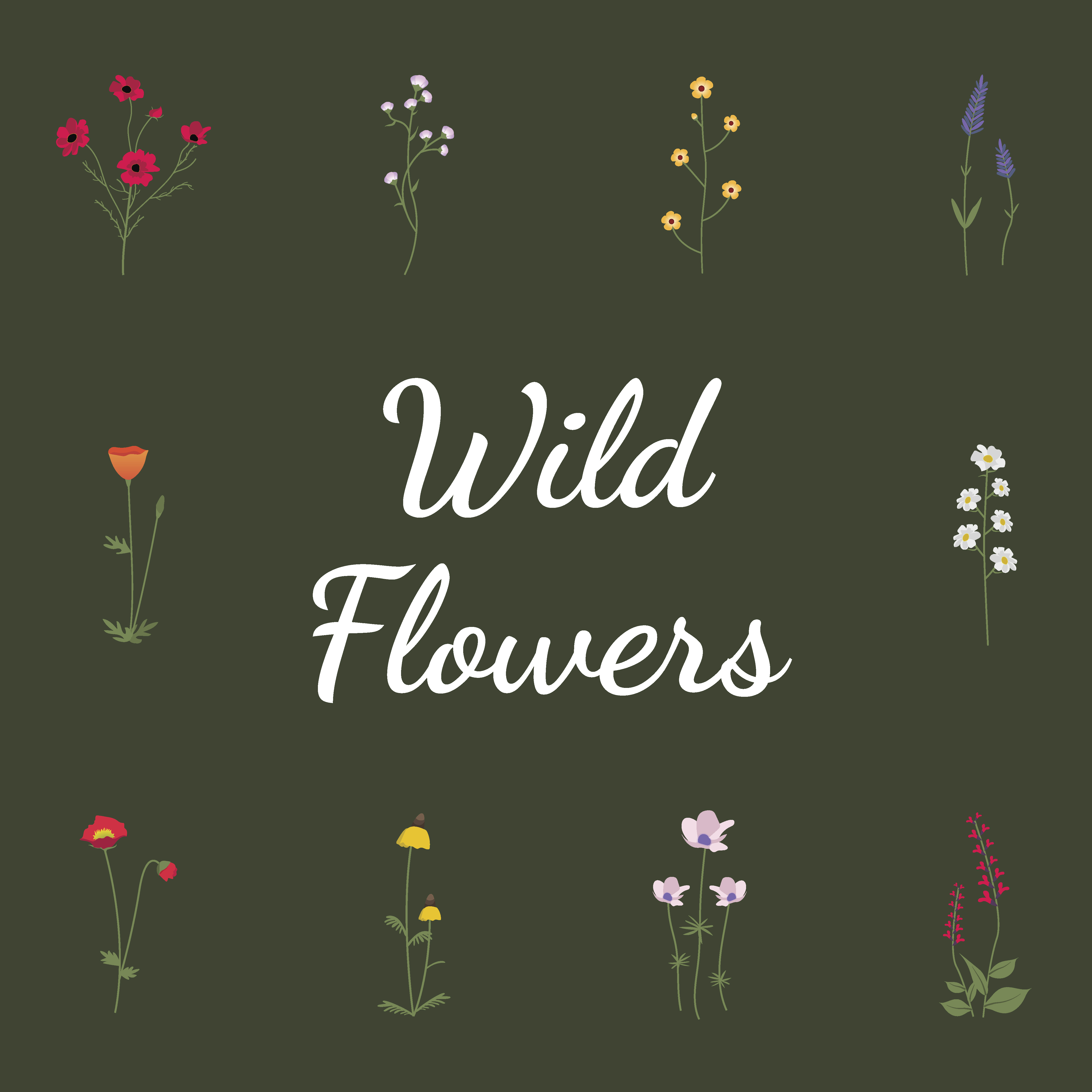 Wild flower vector Download Free Vectors, Clipart Graphics & Vector Art