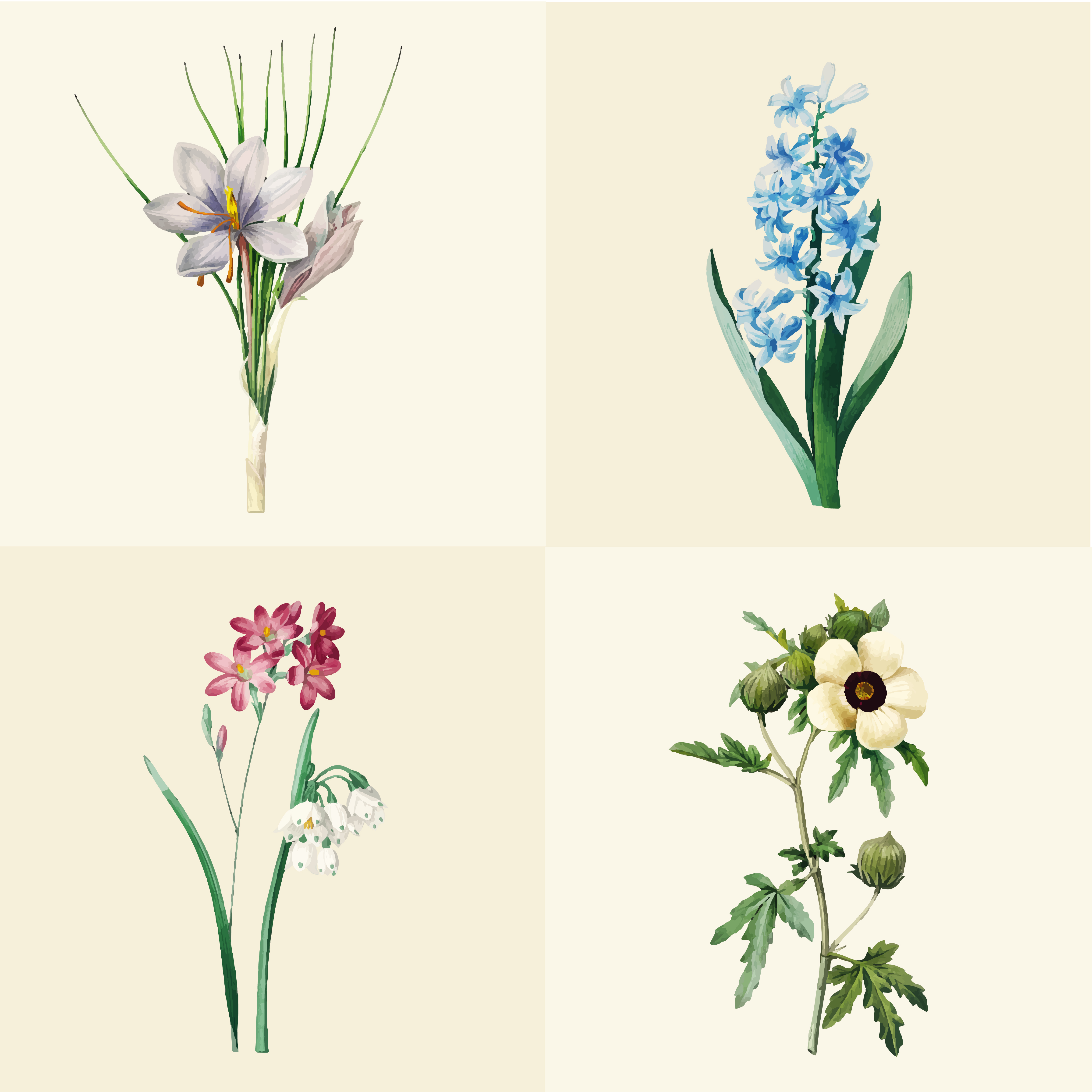 Download Set of beautiful blooming wildflowers - Download Free ...