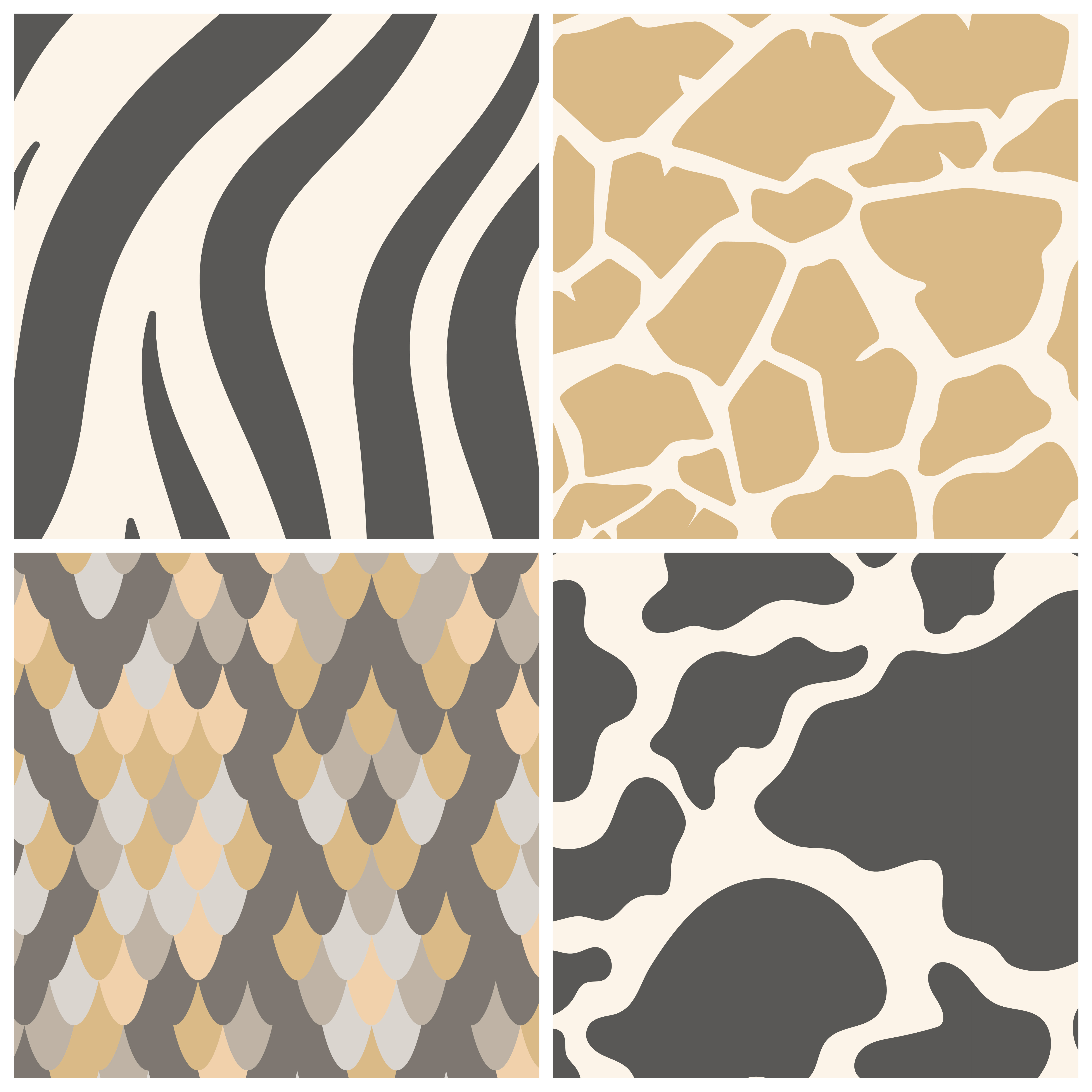 Set of seamless animal print pattern vectors Download Free Vectors