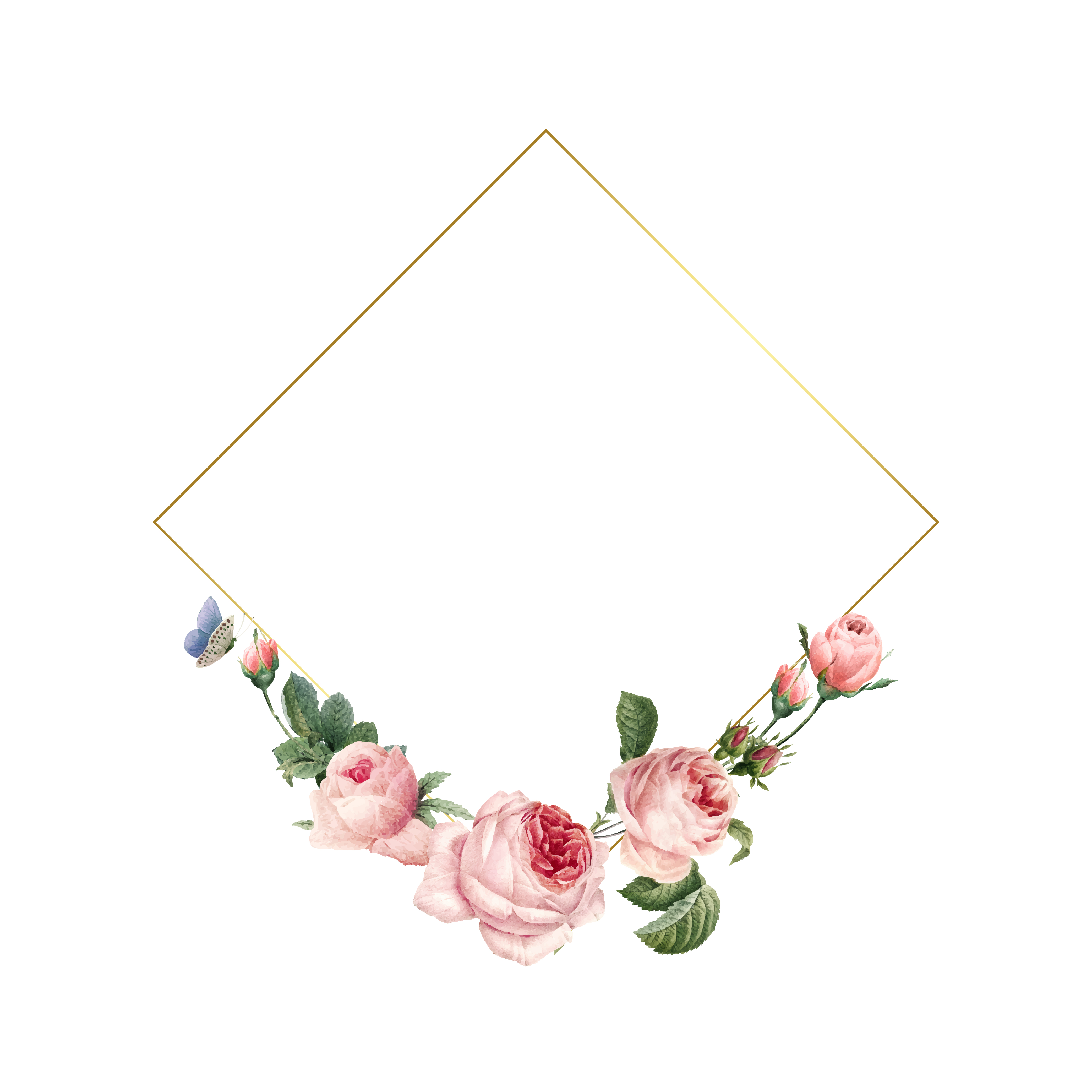 Download Blank square pink roses frame on white background vector ...