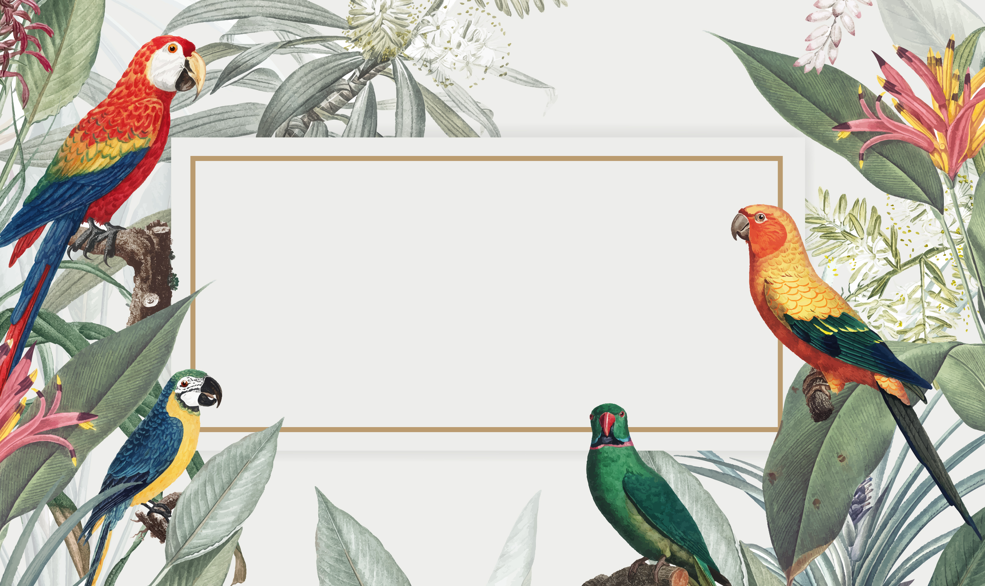 Download Macaw tropical mockup illustration - Download Free Vectors, Clipart Graphics & Vector Art