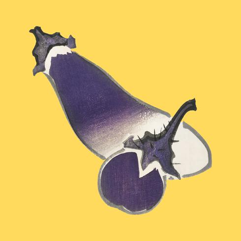 Eggplant and long eggplant by Kno Bairei 1844-1895. Digitally enhanced from our own original 1913 edition of Bairei Gakan. vector