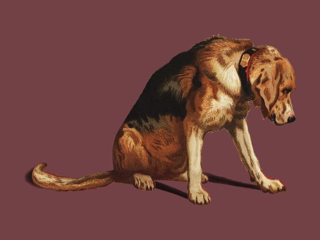 Suspense (1877) de Sir Edwin Landseer, un mastín de sabueso victoriano que espera. Mejorado digitalmente por rawpixel. vector