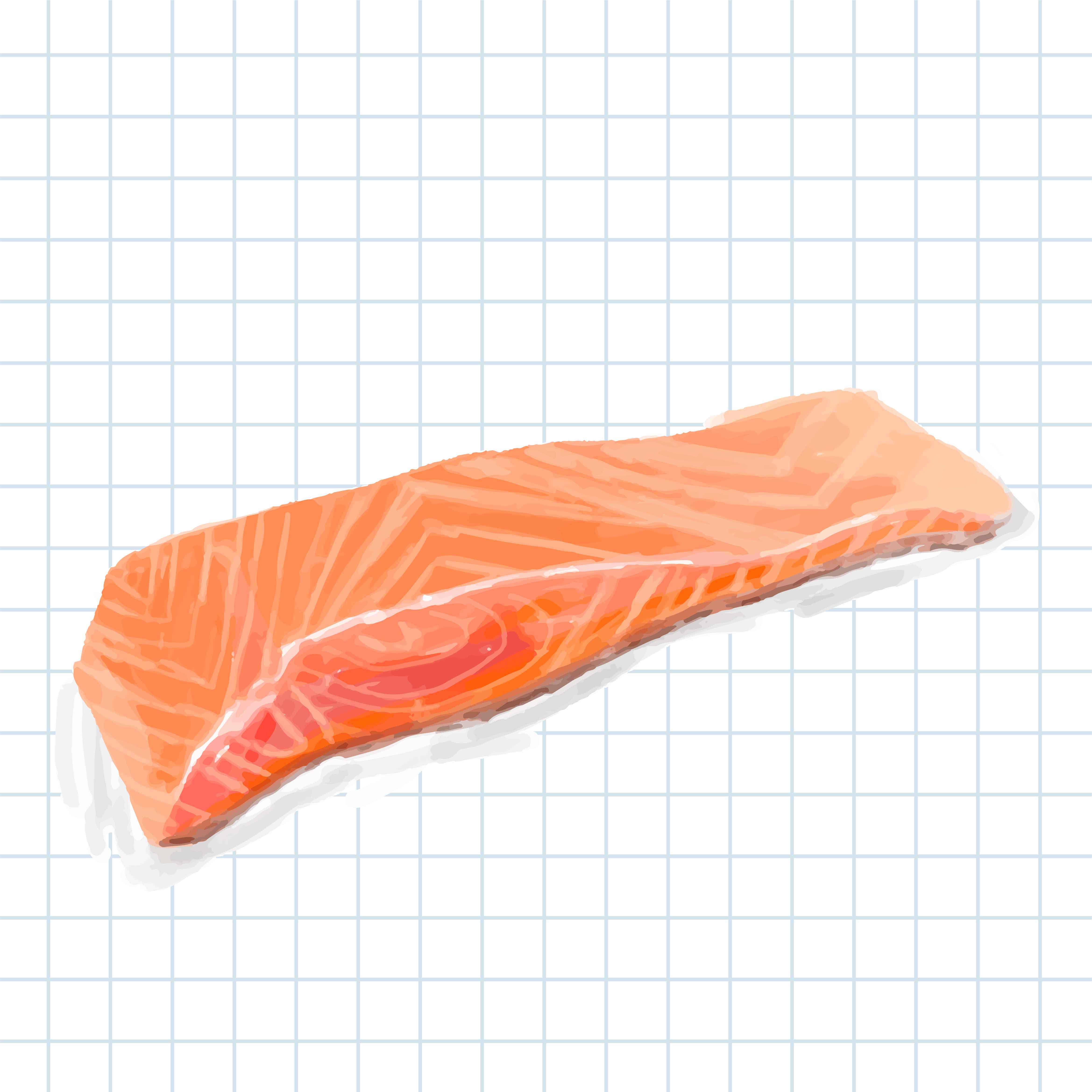 Hand drawn salmon watercolor style Download Free Vectors, Clipart
