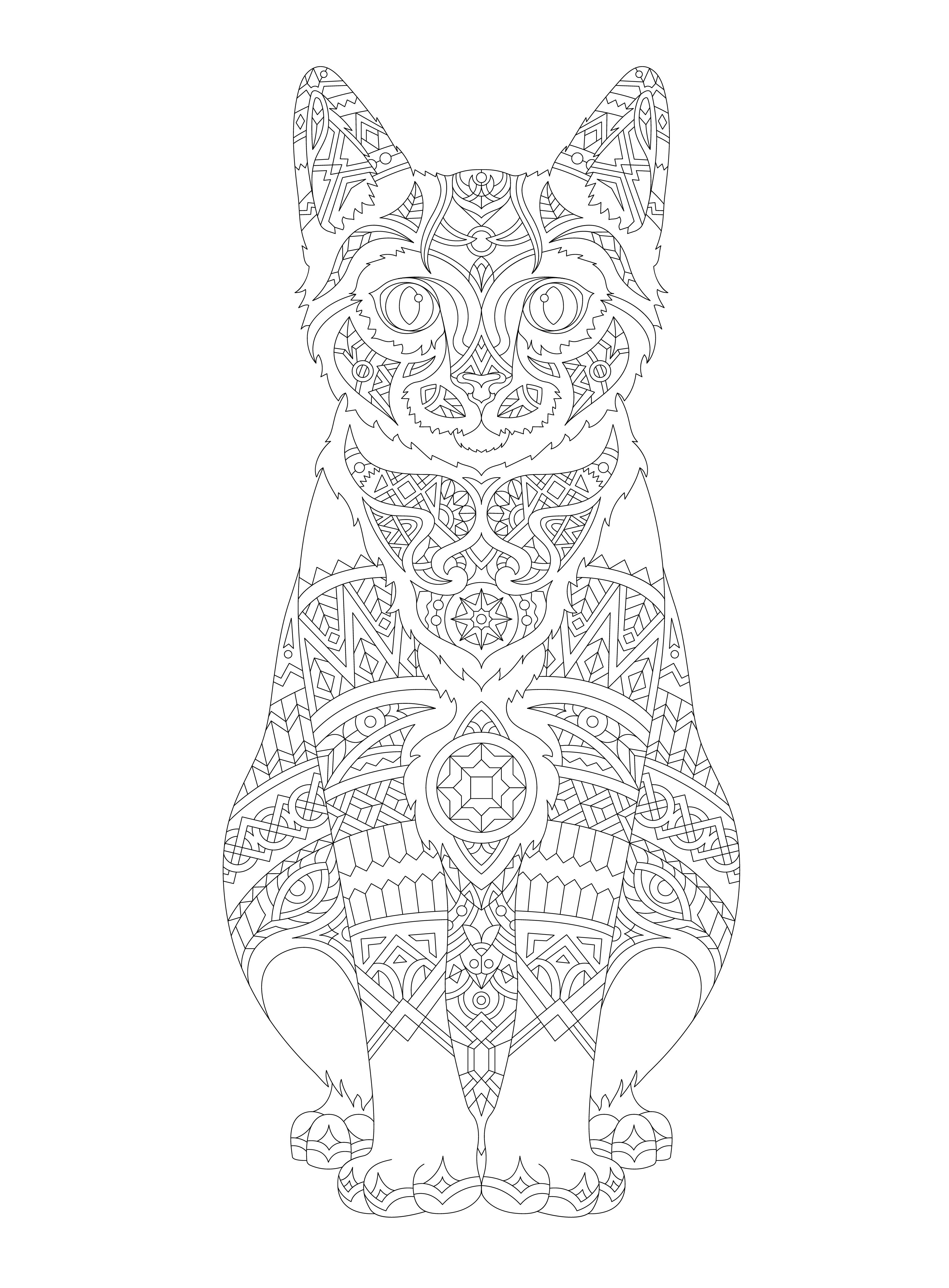 Illustration of animal adult coloring page - Download Free Vectors, Clipart Graphics & Vector Art