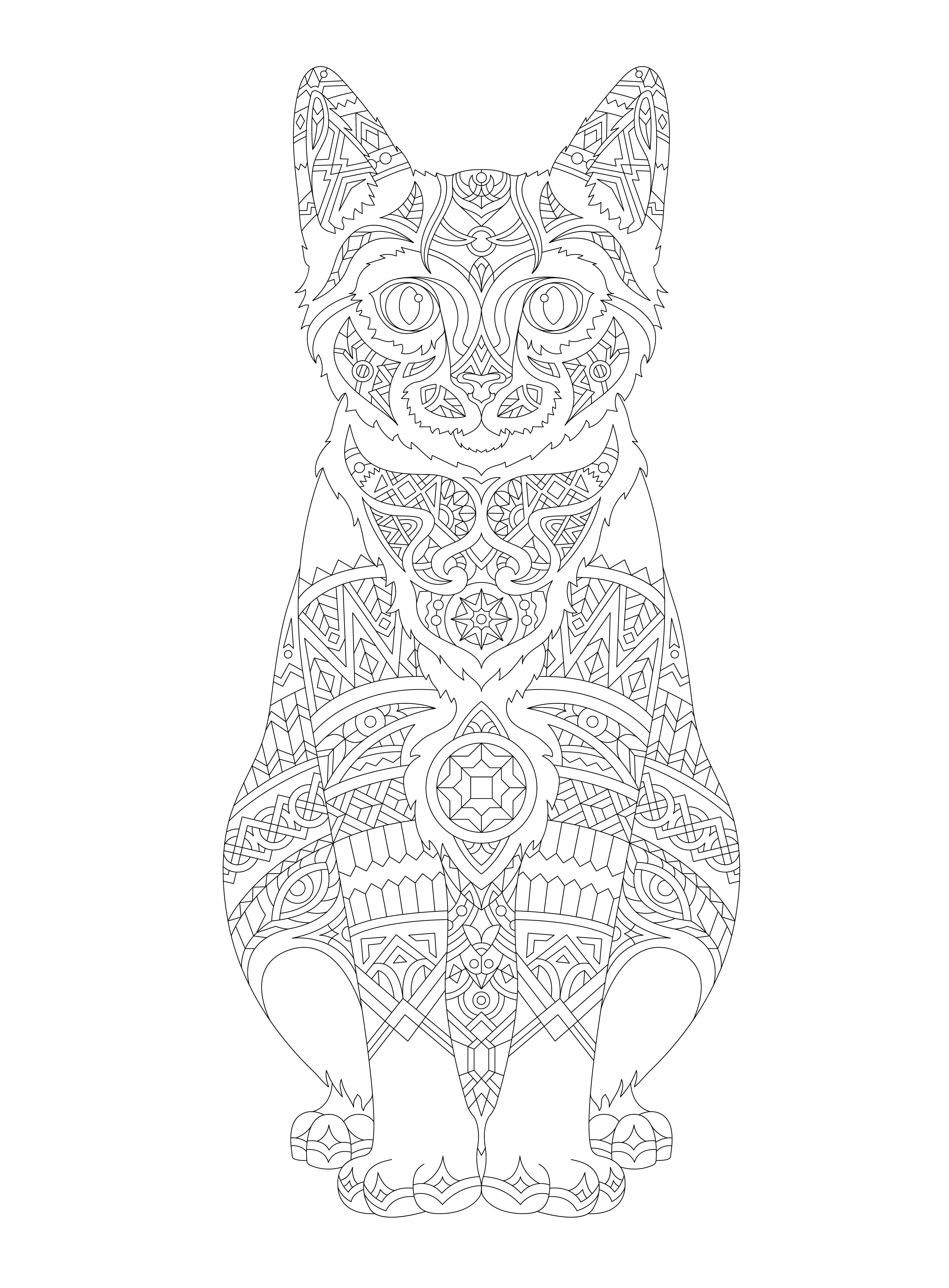 Illustration of animal adult coloring page - Download Free Vectors