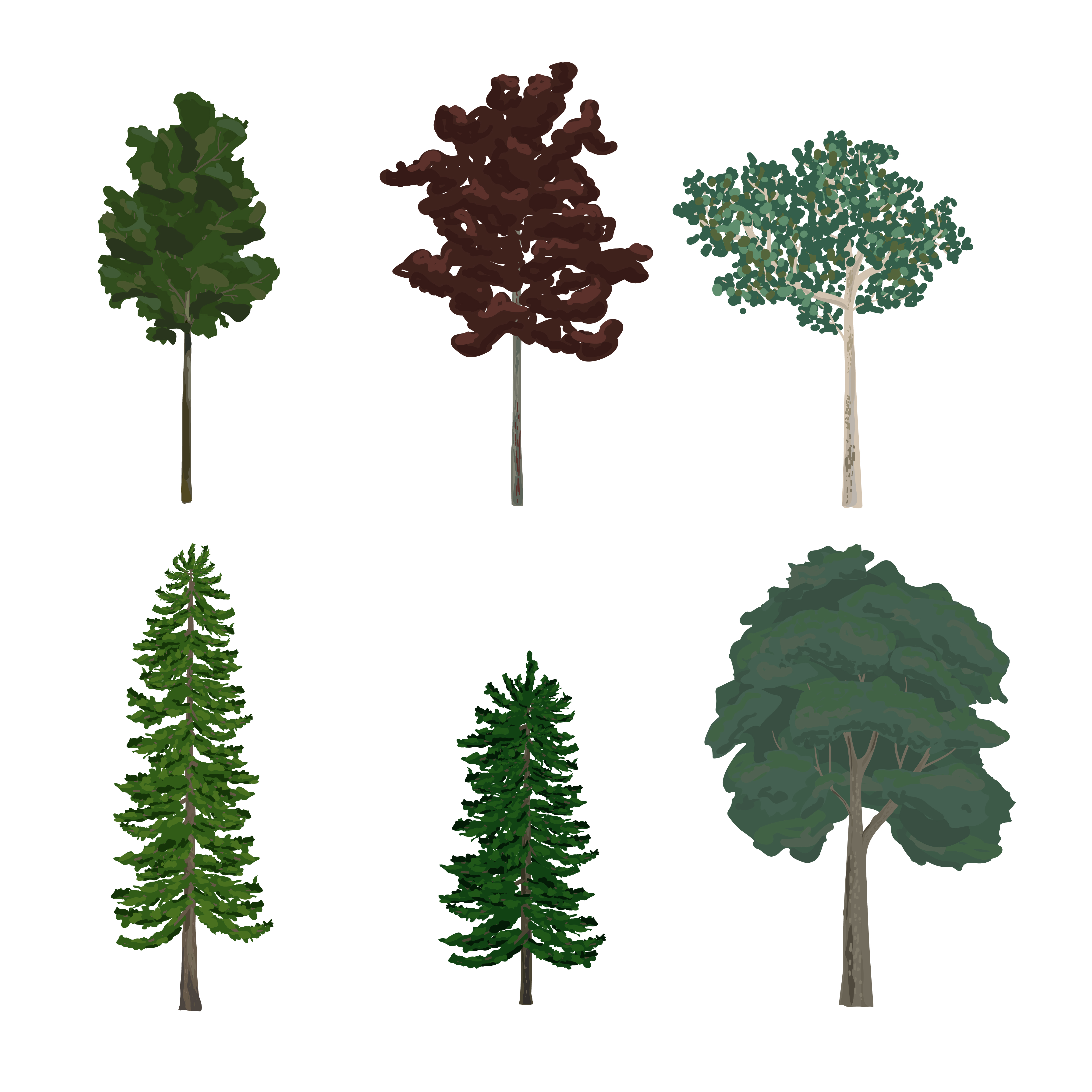 Collection of pine and leaf tree illustrations - Download Free Vectors