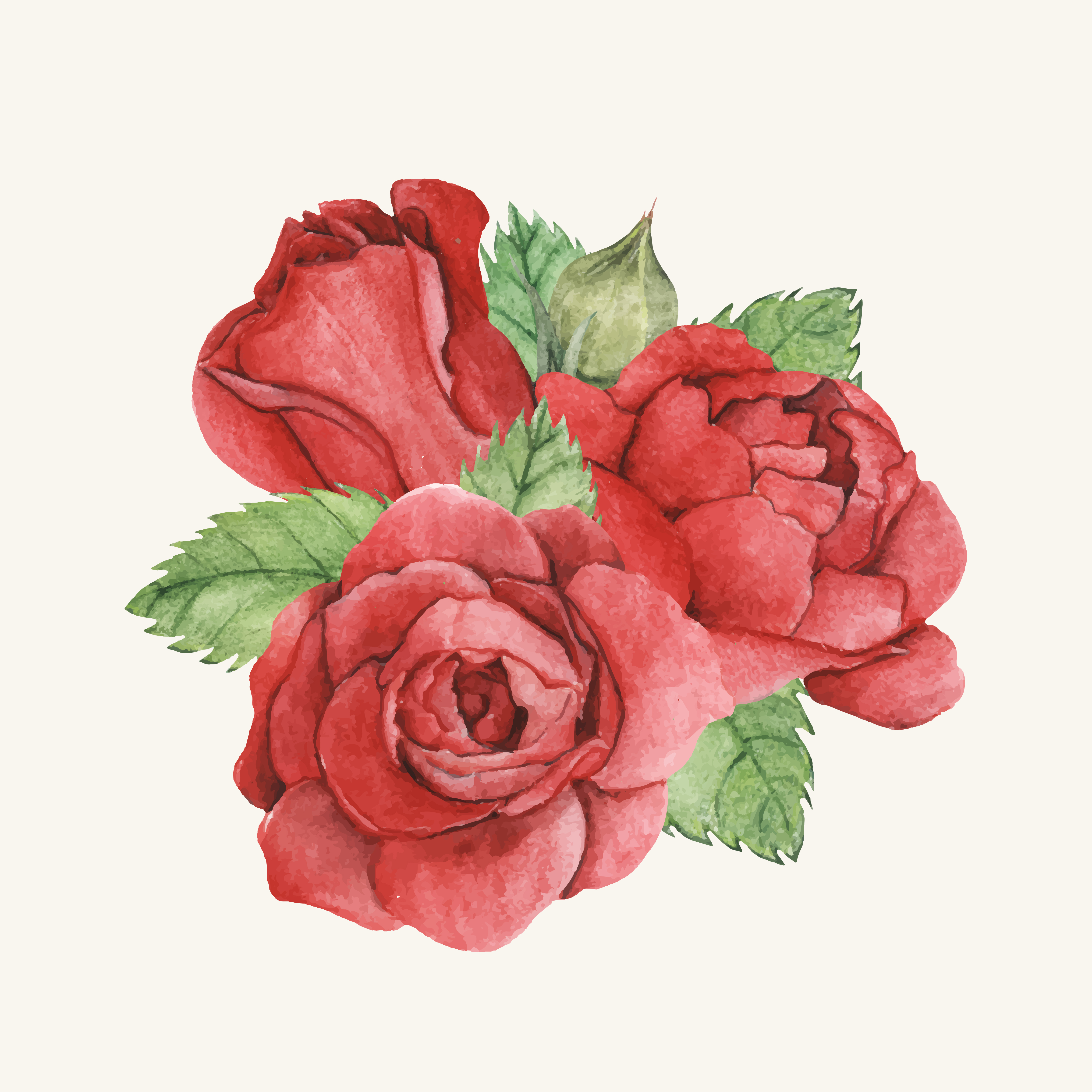 free hand drawn rose illustrations jpg free download