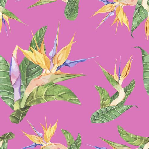 Fleur D39oiseau De Paradis Dessiné Main Isolé