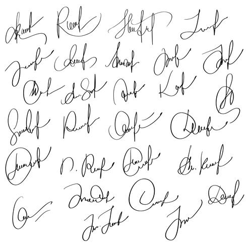 Manual signature for documents on white background. Hand drawn Calligraphy lettering Vector illustration EPS10