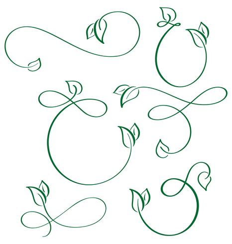 designer calligraphic elements green leaf icons vegan set on white background vector