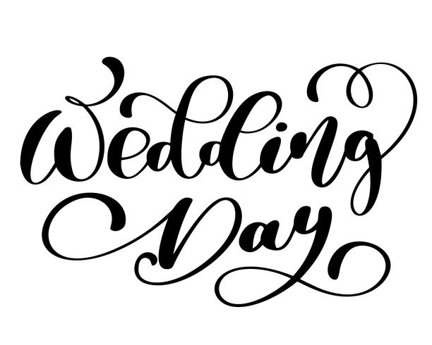 Texto del vector del día de boda en el fondo blanco. Ilustración de letras de caligrafía. Para la presentación en tarjeta, cita romántica para tarjetas de felicitación de diseño, camiseta, taza, invitaciones navideñas