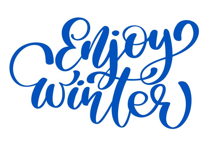 Caligrafía disfrutar de la tarjeta de invierno feliz Navidad con. Plantilla para saludos, felicitaciones, carteles de inauguración, invitaciones, superposiciones de fotos. Ilustración vectorial vector