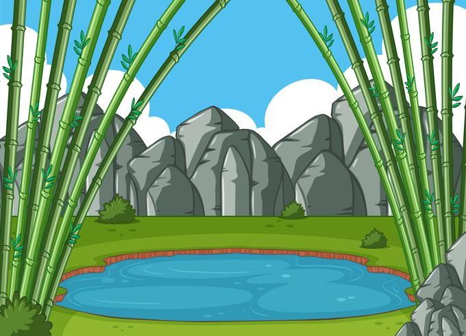 Scene with bamboo trees by the pond vector