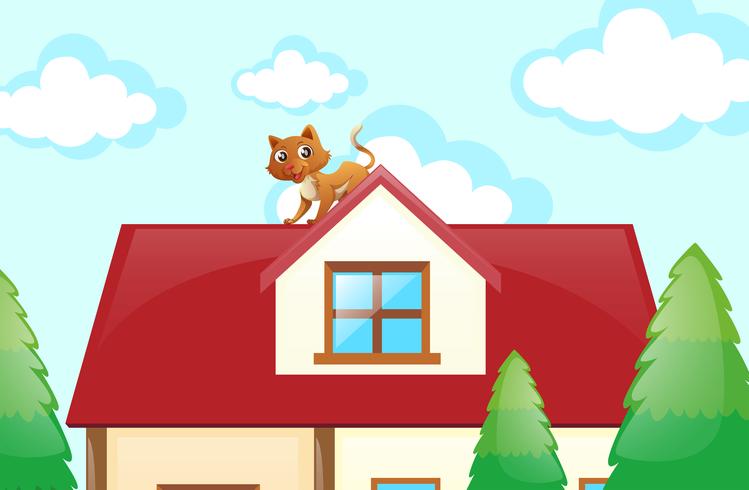 Cat on the rooftop vector