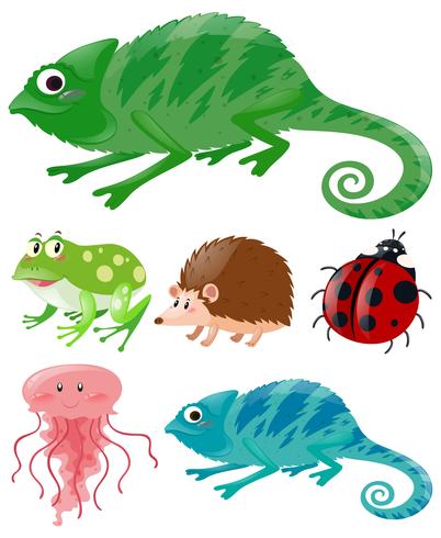 Lizard and other animals vector