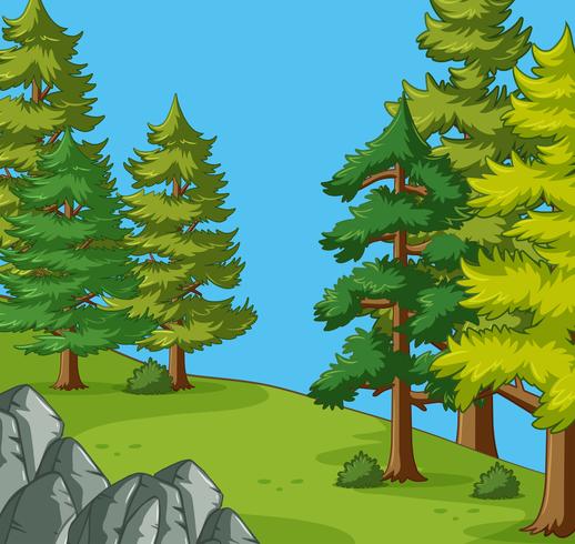 Pine trees in the camping site vector