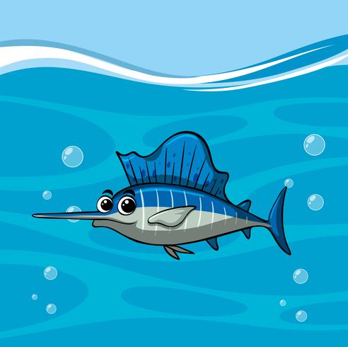 Swordfish swims in the ocean vector