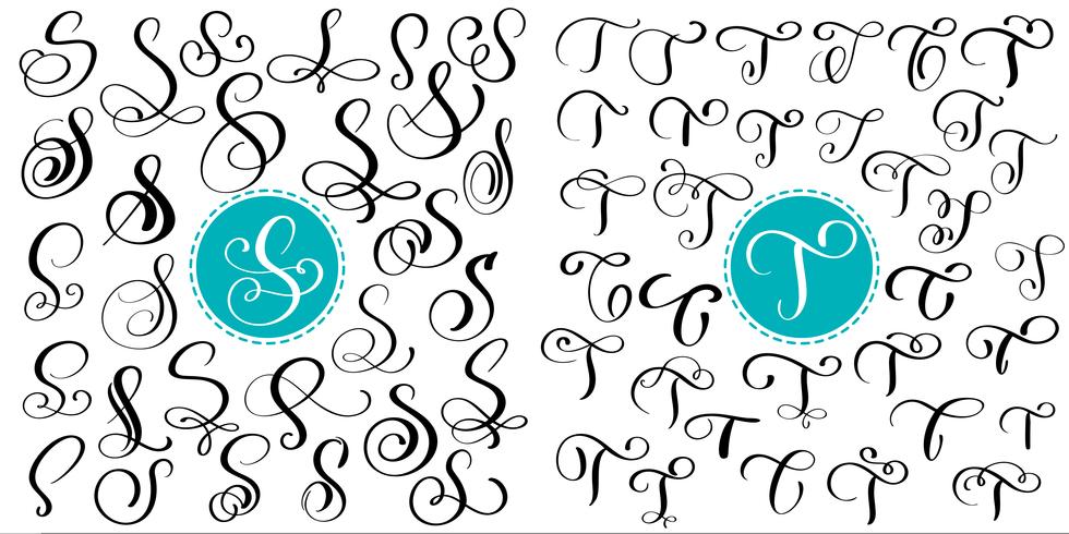 Set letter S, T. Hand drawn vector flourish calligraphy. Script font. Isolated letters written with ink. Handwritten brush style. Hand lettering for logos packaging design poster