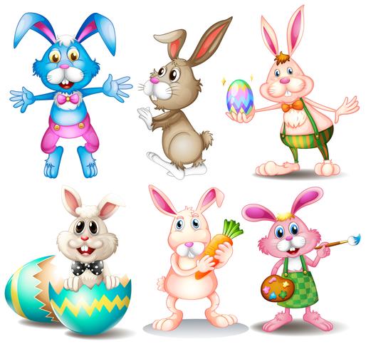 Rabbits vector