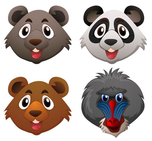 Four faces of wild animals vector