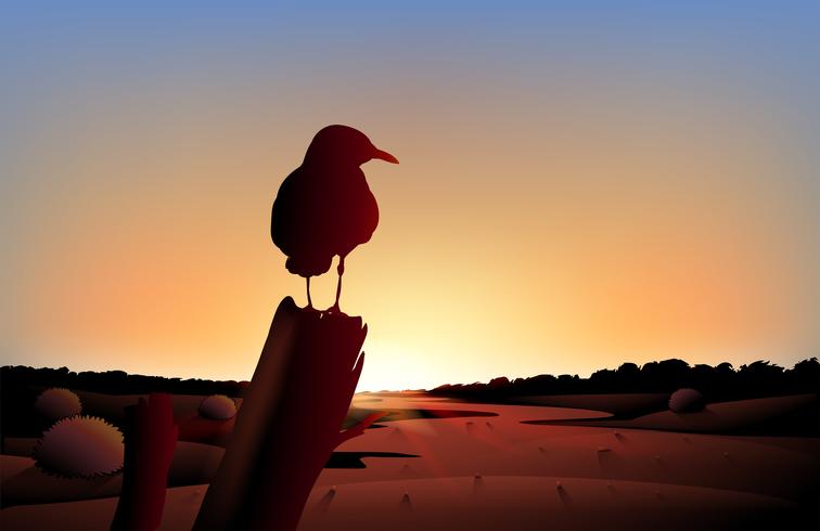 A sunset view of the desert with a big bird vector