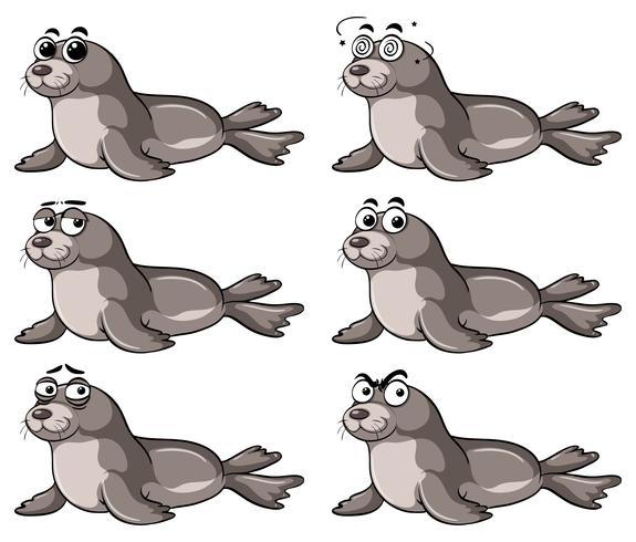 Seal with different emotions vector