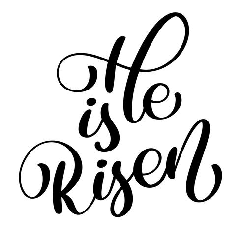 He is Risen text on white background. Calligraphy lettering Vector illustration. For christian presentation on card, romantic quote for design greeting cards, T-shirt, mug, holiday invitations