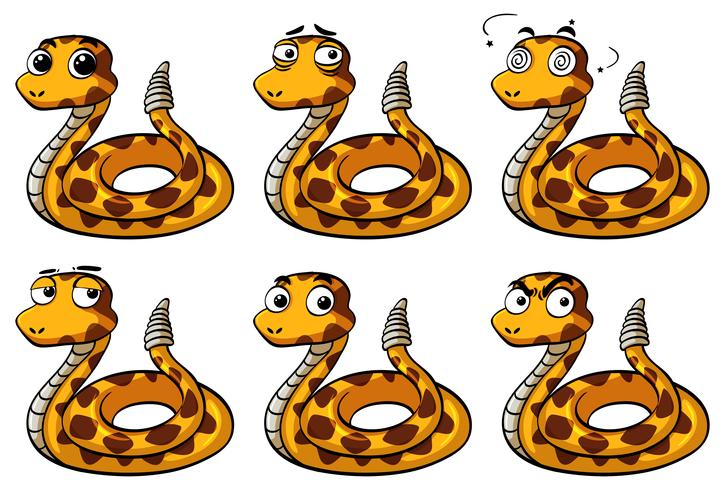 Serpiente de cascabel con diferentes expresiones faciales. vector