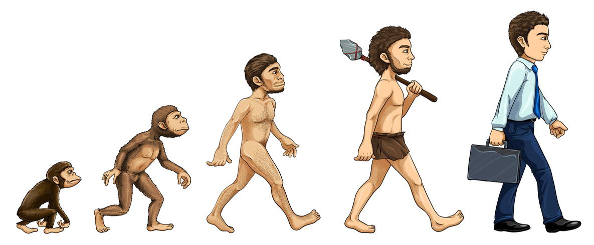 Evolución del hombre vector