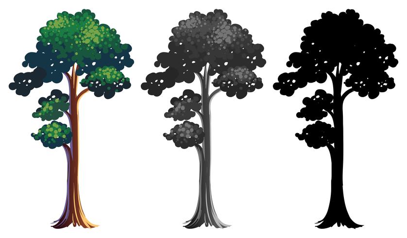 Conjunto de diseño de árbol diferente vector