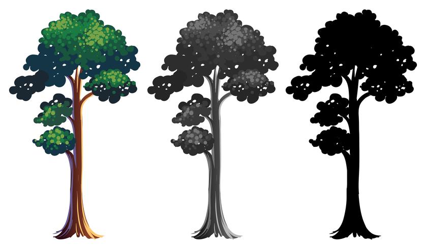 Set of different tree design vector