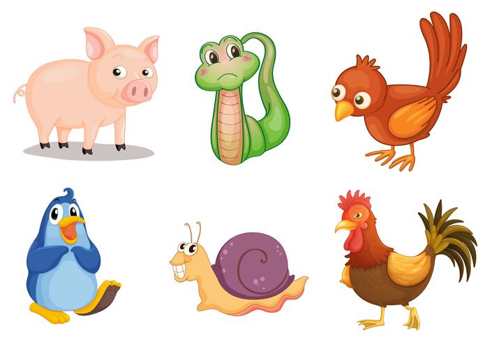 Animal series vector