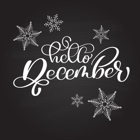 Dibujado a mano tipografía Letras frase Hola diciembre en una pizarra con copos de nieve. Inscripción de caligrafía de tinta de pincel divertido para tarjeta de invitación de invierno o diseño de impresión vector