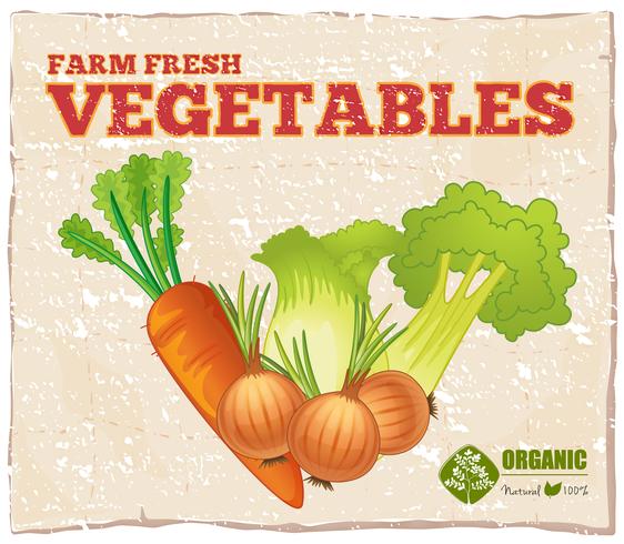 Vegetables vector