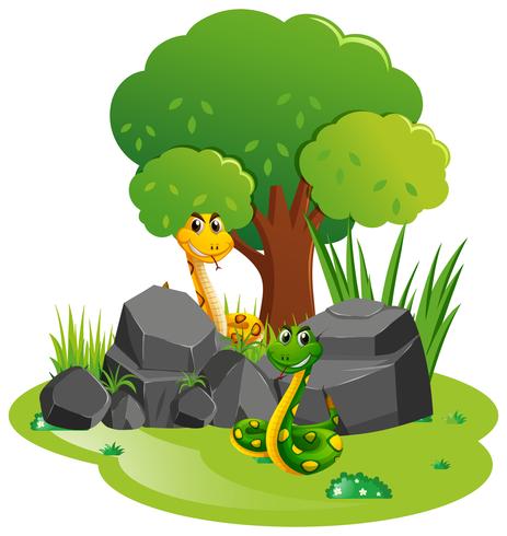 Two snakes in the garden vector