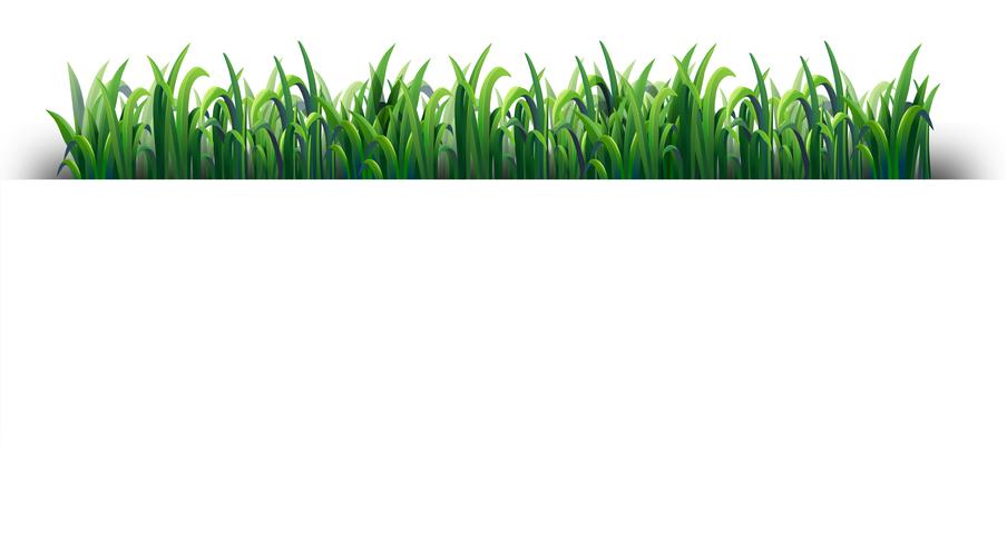 Seamless design with green grass vector