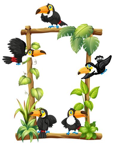Toucan on wooden frame vector