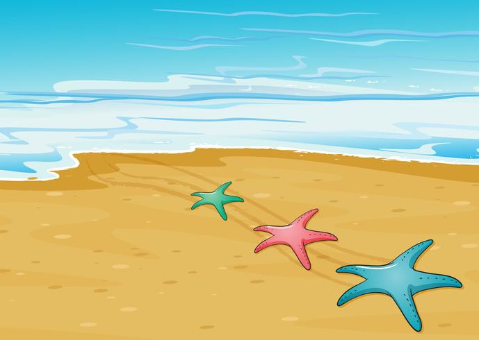 Three colorful starfishes in the beach vector