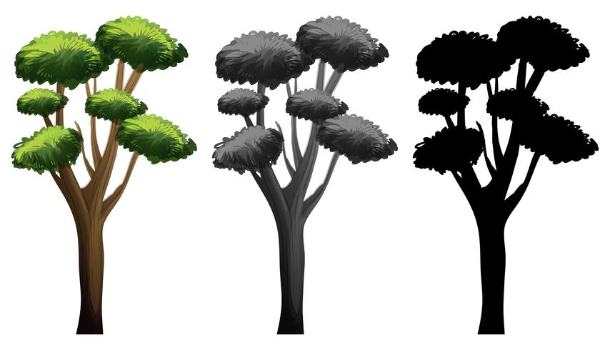 Set of different tree design vector