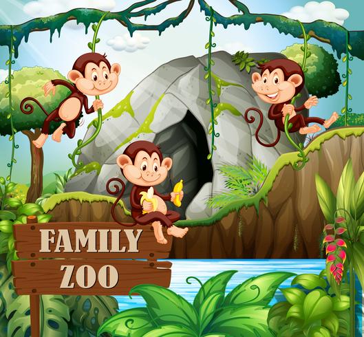 Familia de monos en el zoológico de la naturaleza. vector