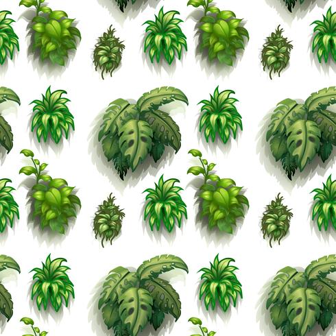 Seamless plants vector