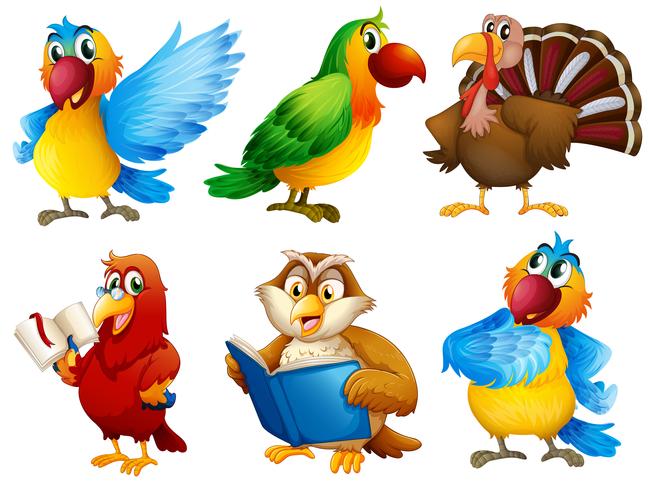 Colourful feathered creatures vector