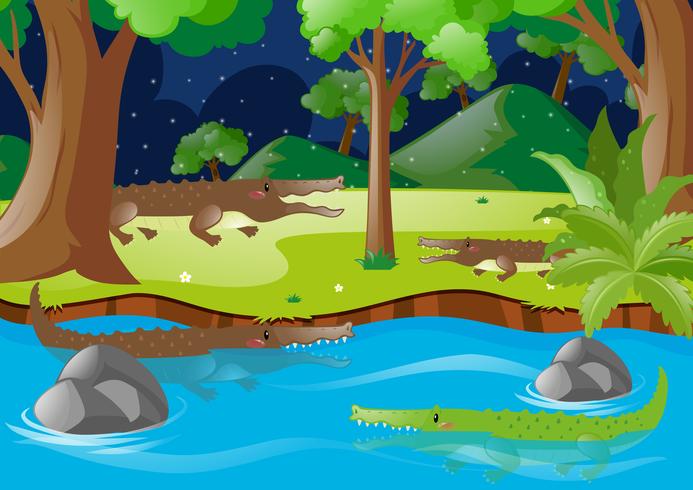 Crocodiles in the river and on land vector