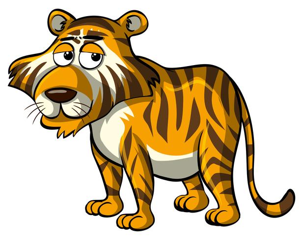 Tigre salvaje con ojos adormecidos. vector