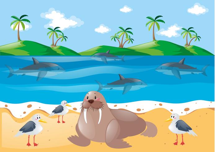 Animales marinos y palomas en la playa. vector