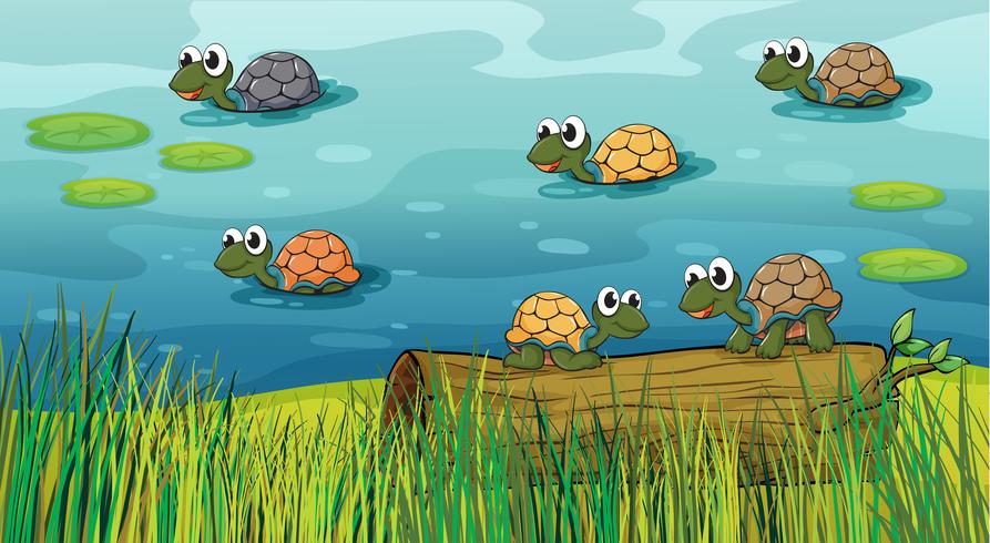 Un grupo de tortugas en el río. vector