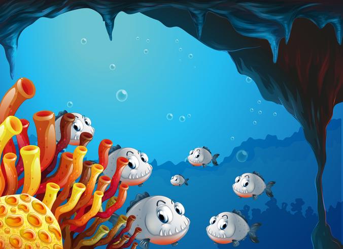 A school of fish inside the sea cave vector